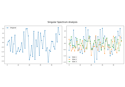 Singular Spectrum Analysis