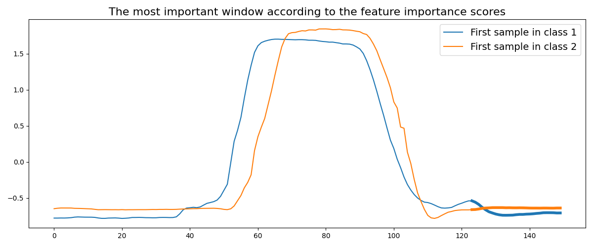 The most important window according to the feature importance scores
